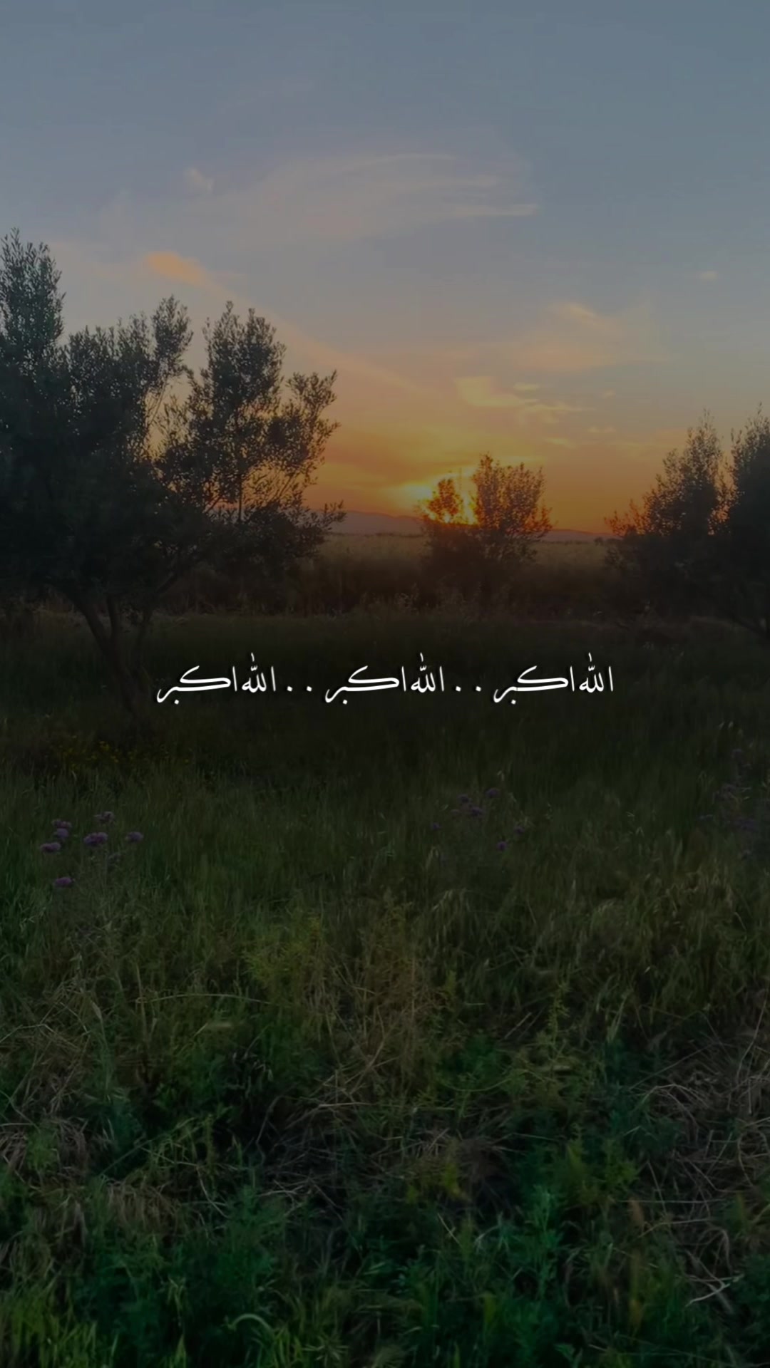 @souhaaasoo