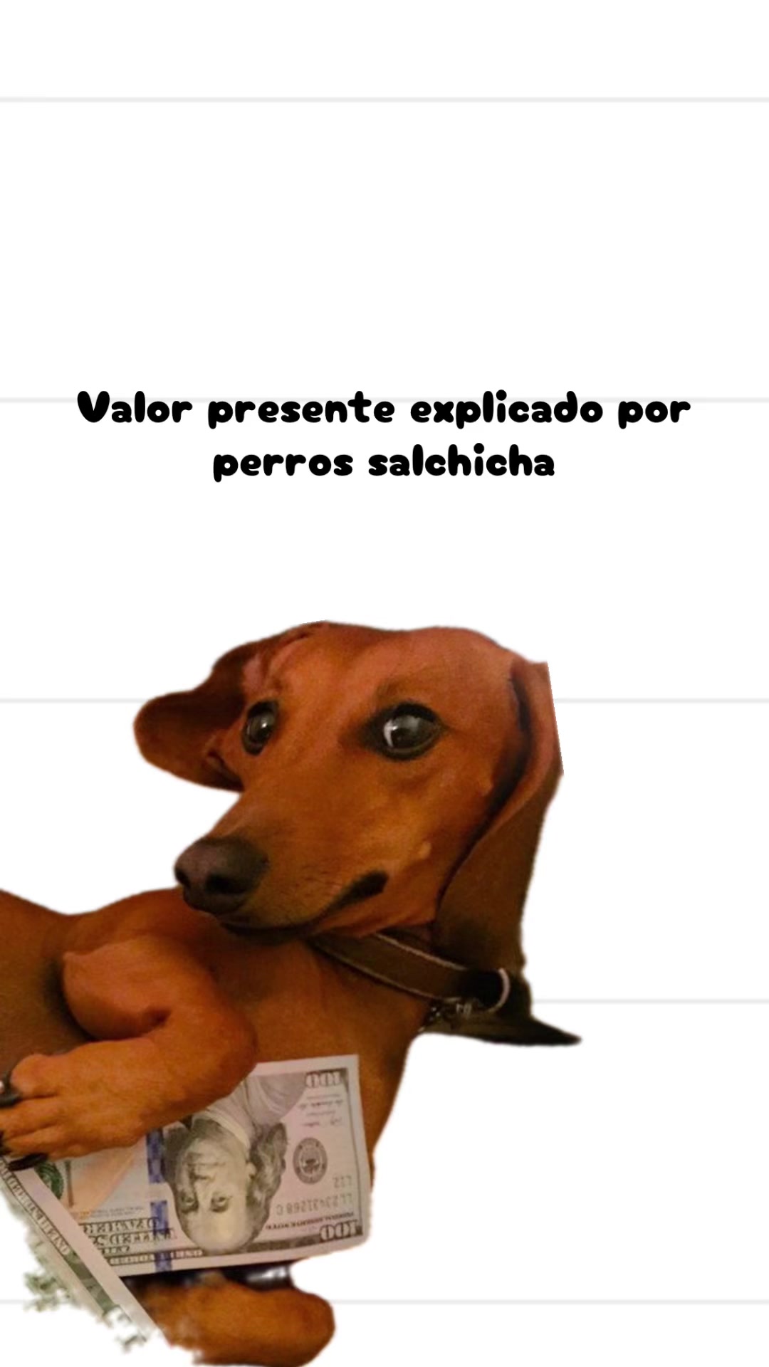 @Fer Reyes