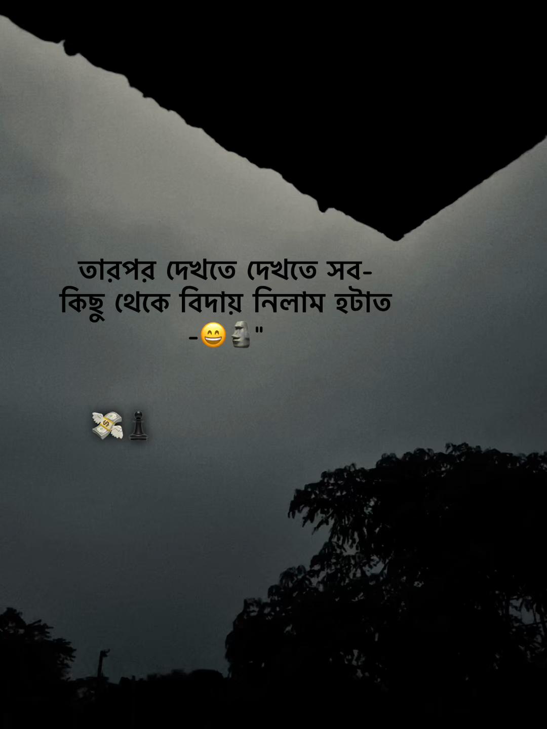 @♟️𝙎𝘼𝙉𝘿𝙔® 𝟔𝟗