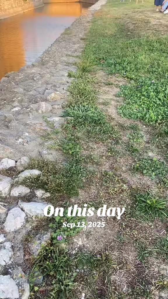 @onlyMane