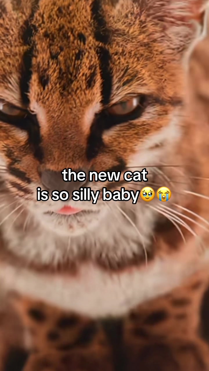 @☆ 𝙲𝙾𝙻𝙰. ☆