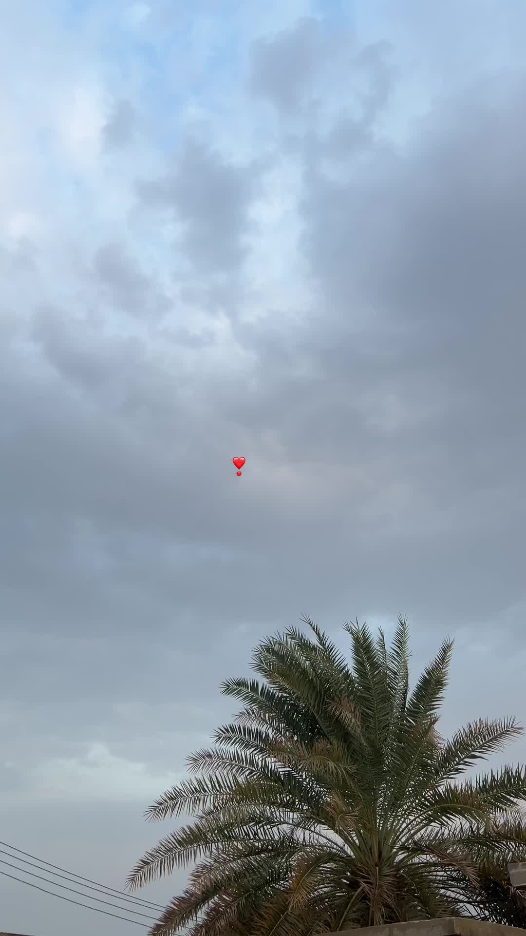 @العنود|جازان📸✨.
