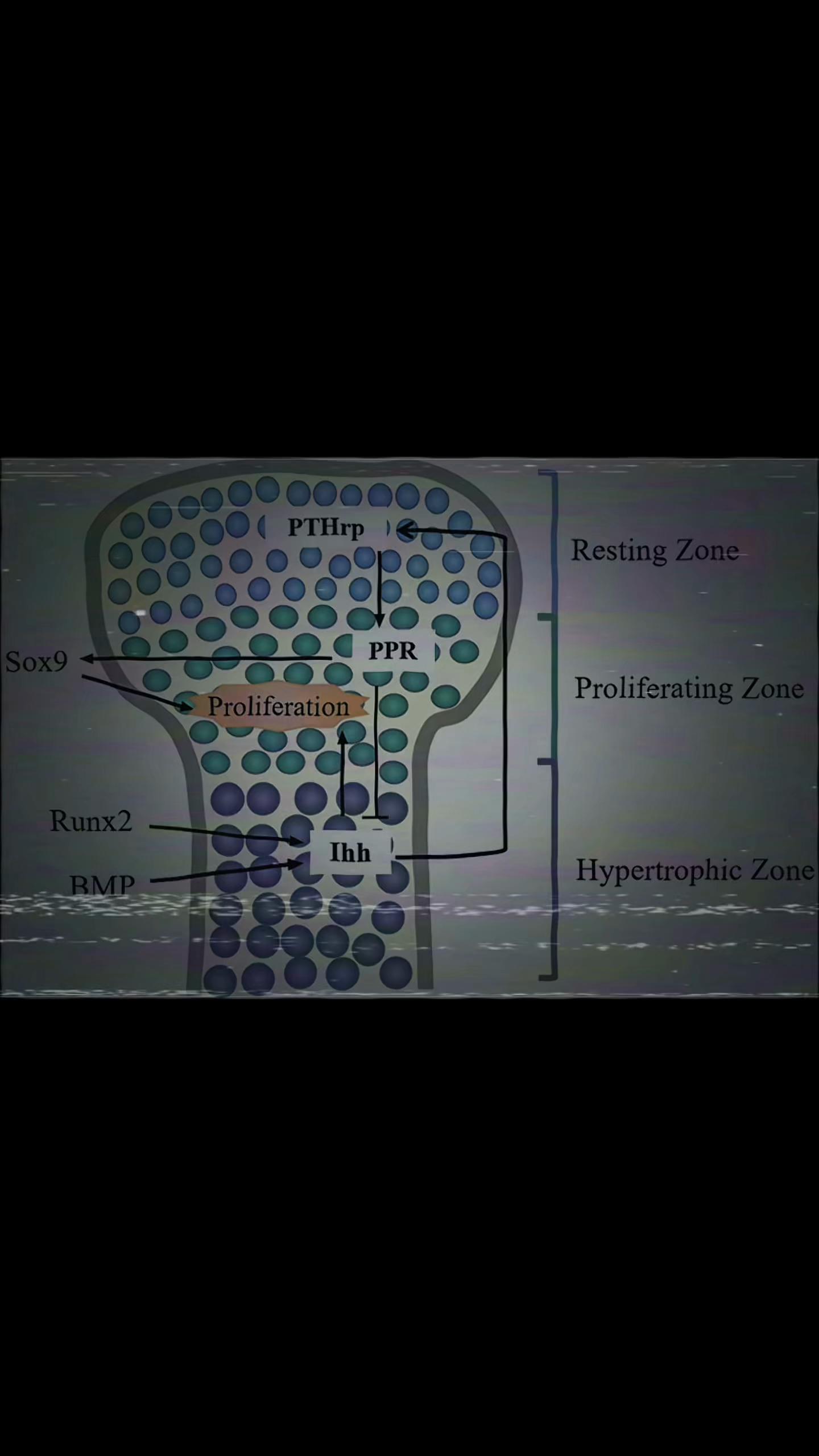 @🧬RPO🧬