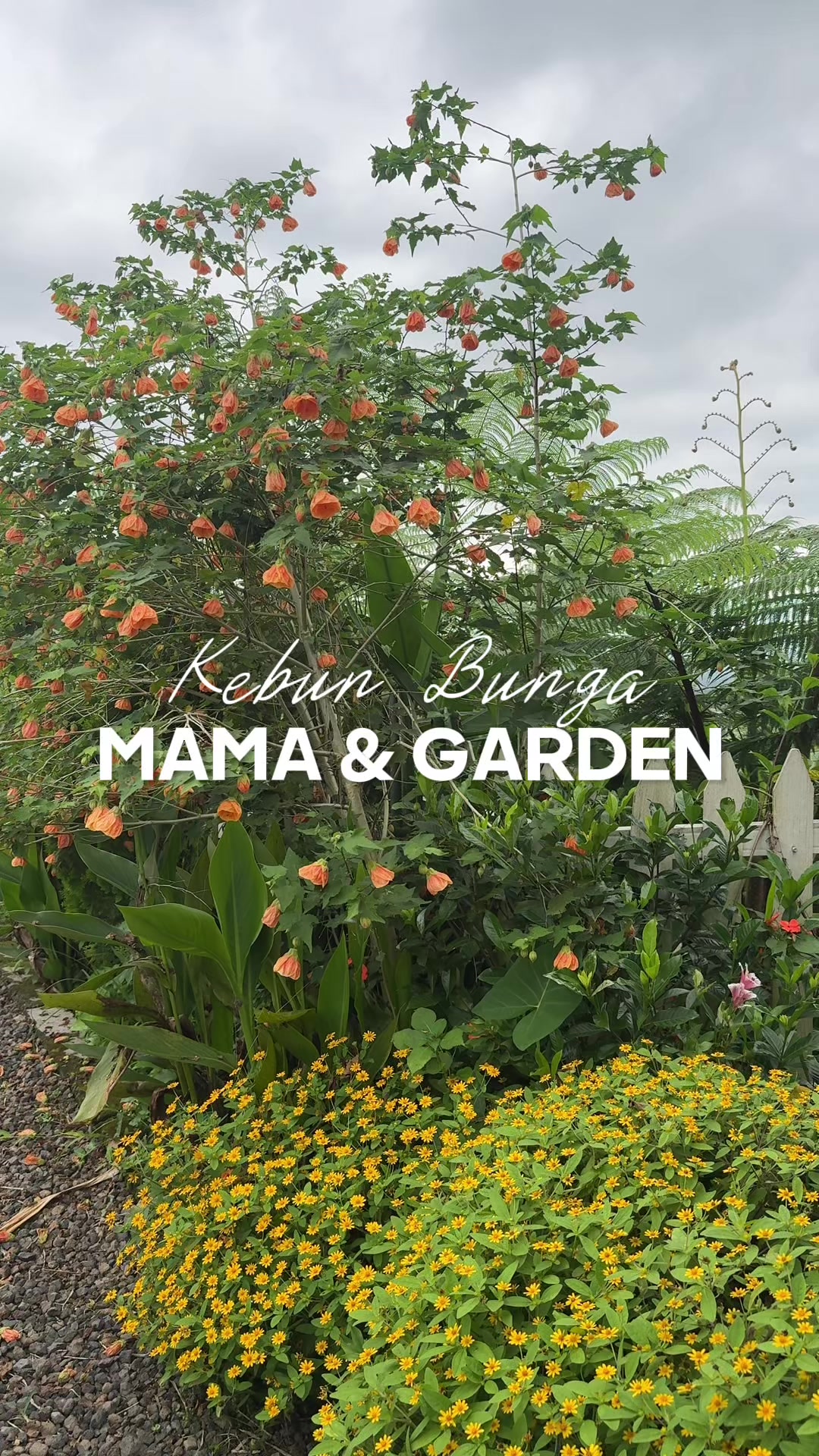 @mama and garden
