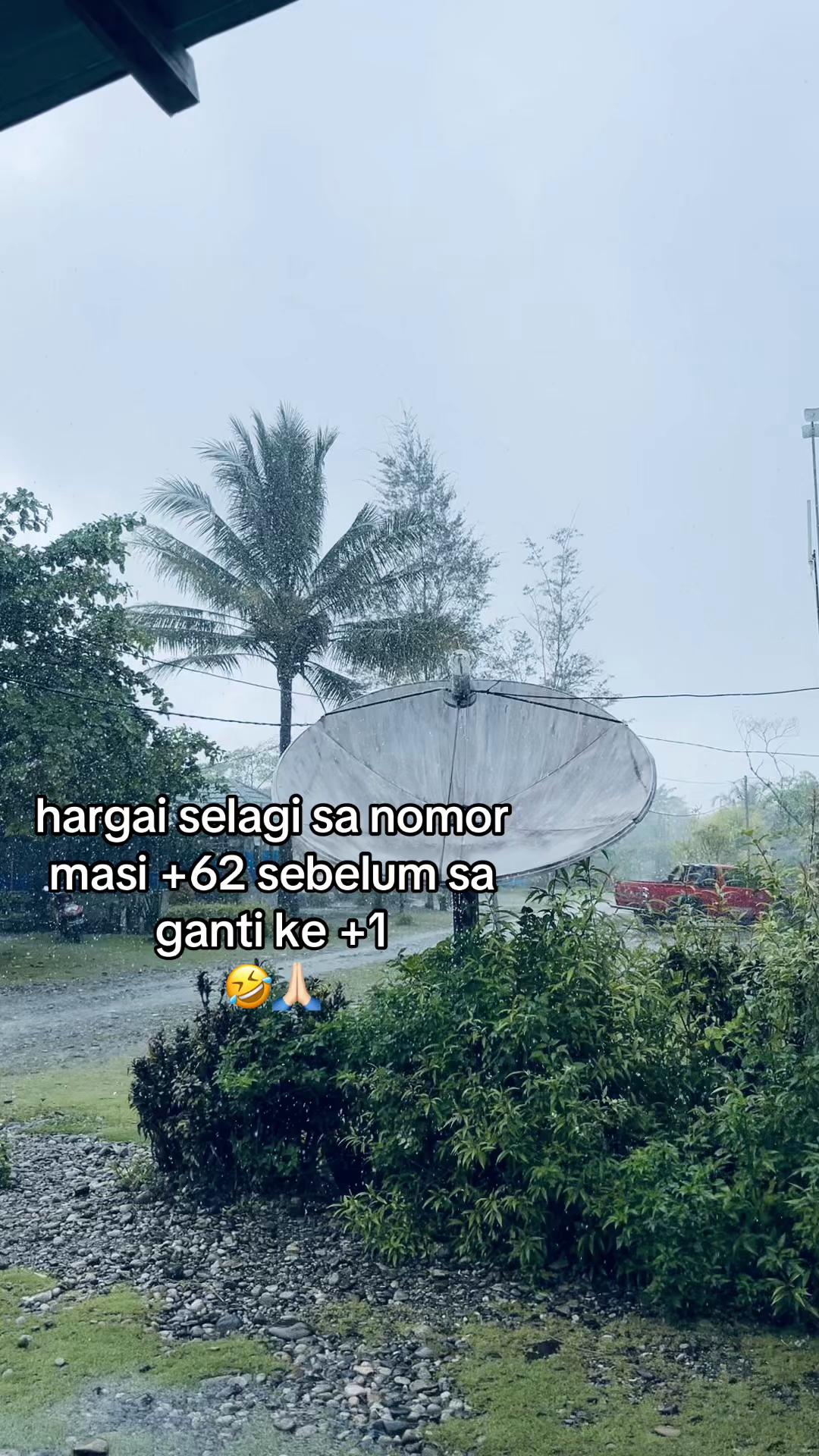 @faldy