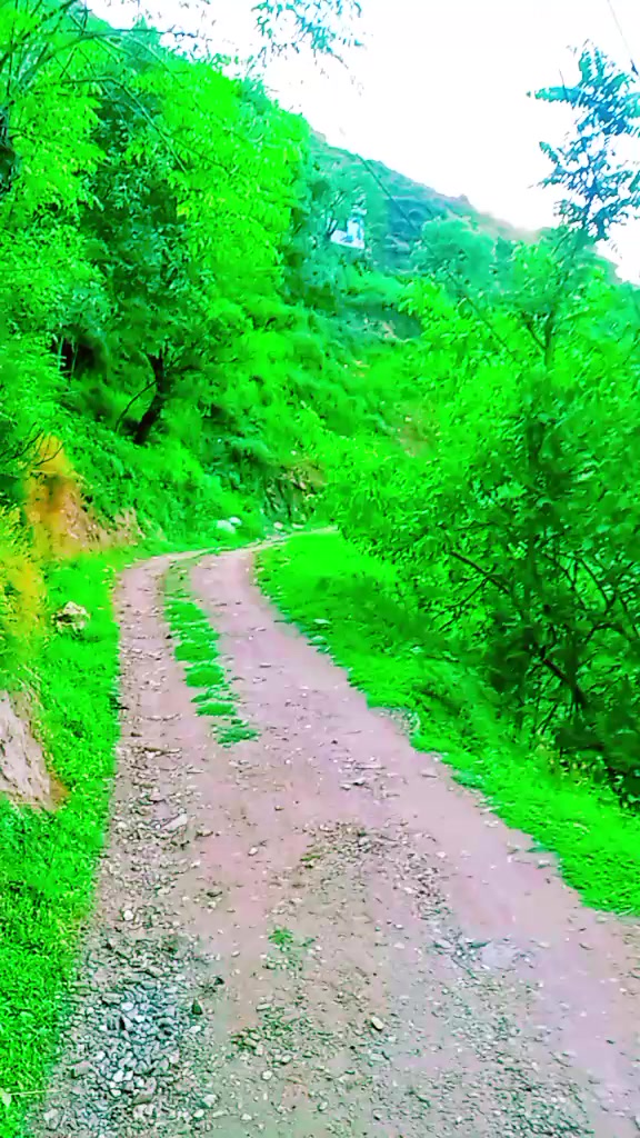 @raja babar