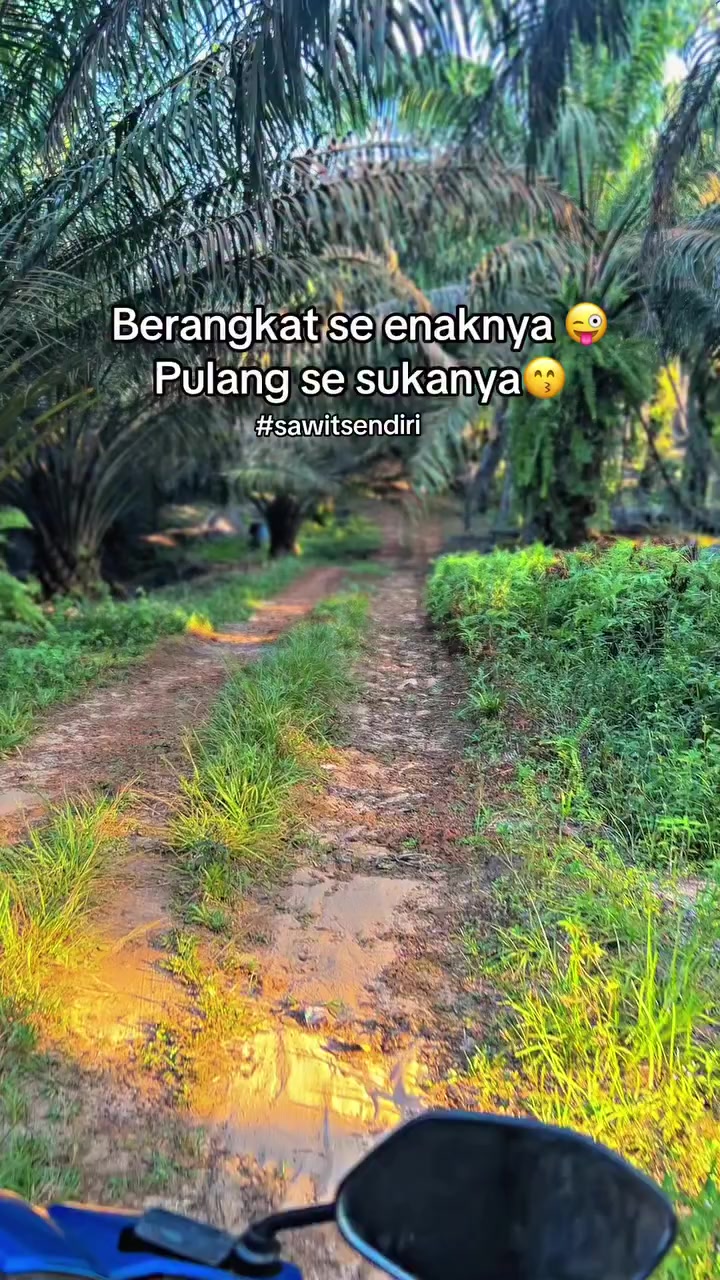 @BONCOS NUSANTARA