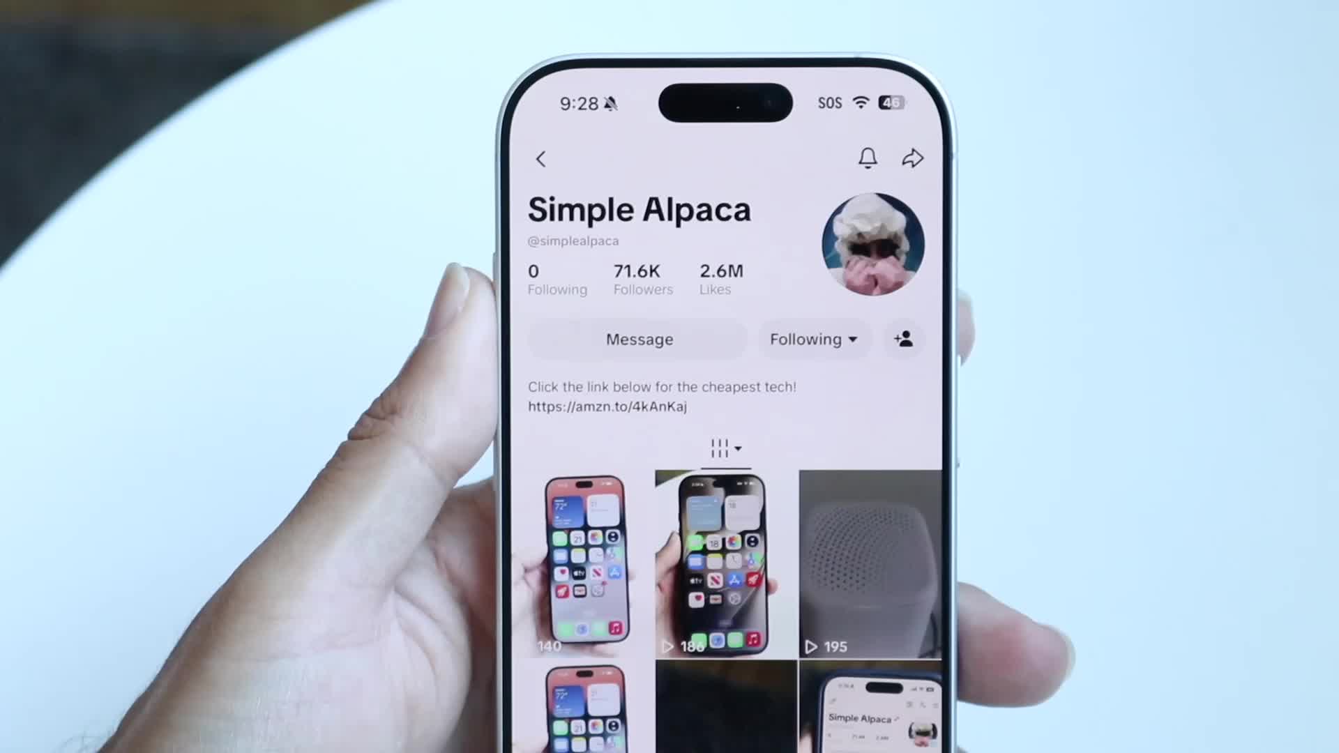 @Simple Alpaca