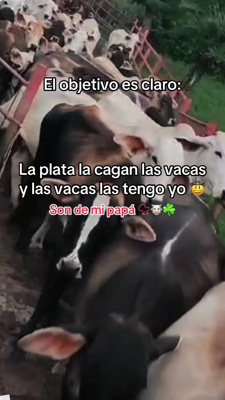 @LA COSTE-SANTANDEREANA
