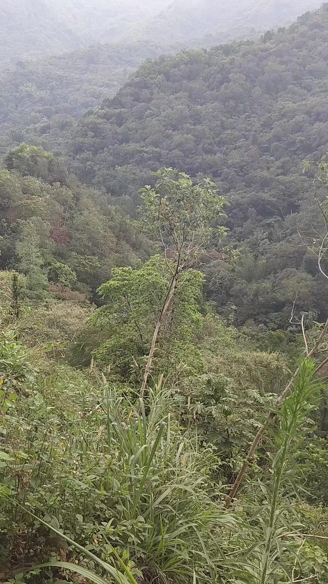 @Rodoxxx