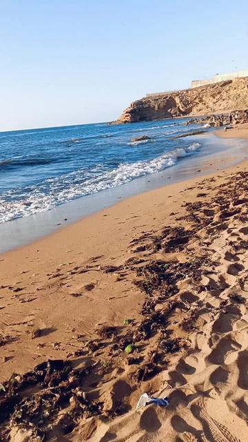 @Djallal Algérie 🇩🇿🇫🇷