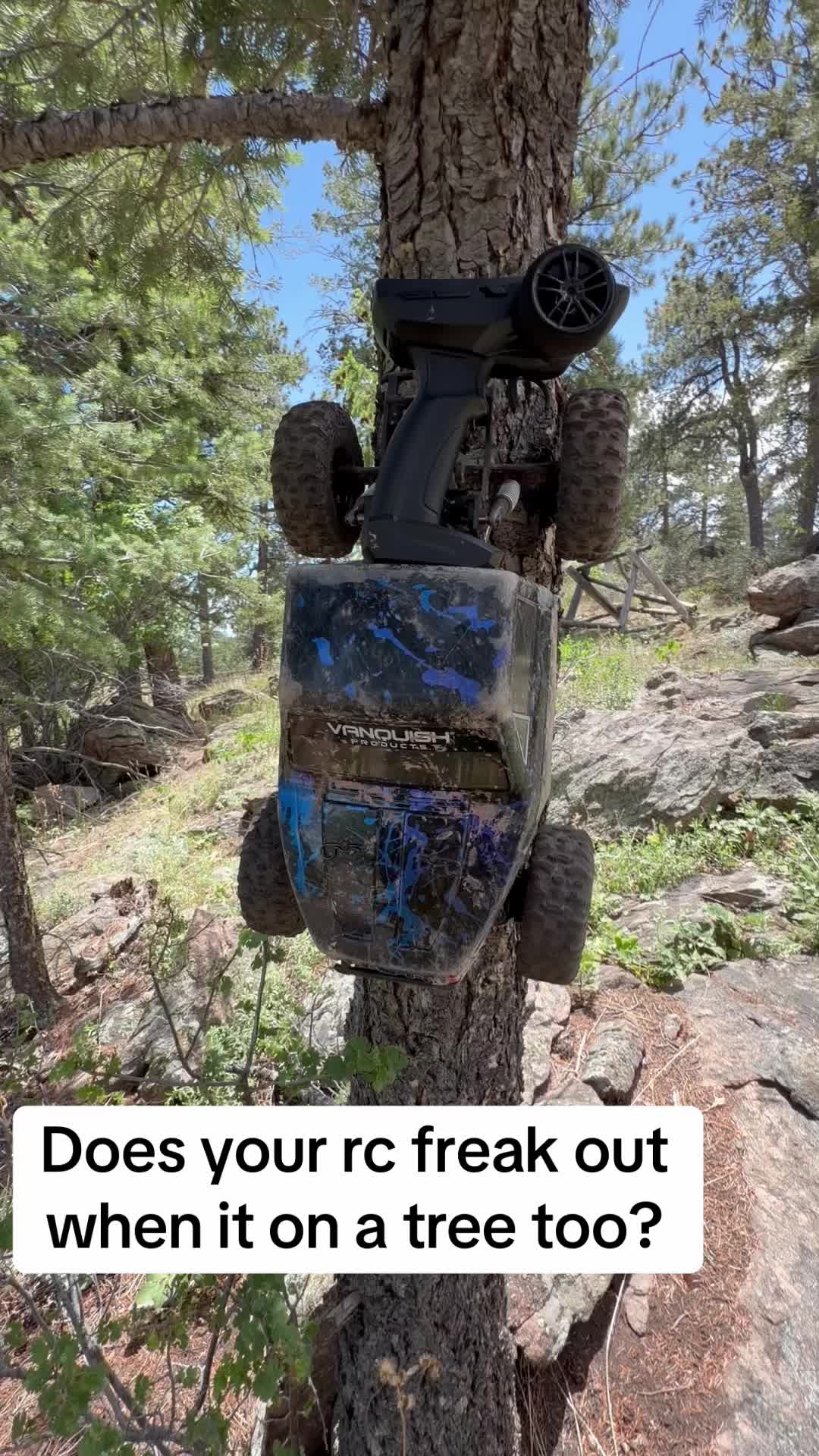 @LunchMoneyRC
