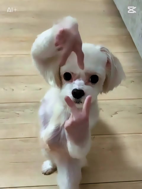 @り〜ちゃむ