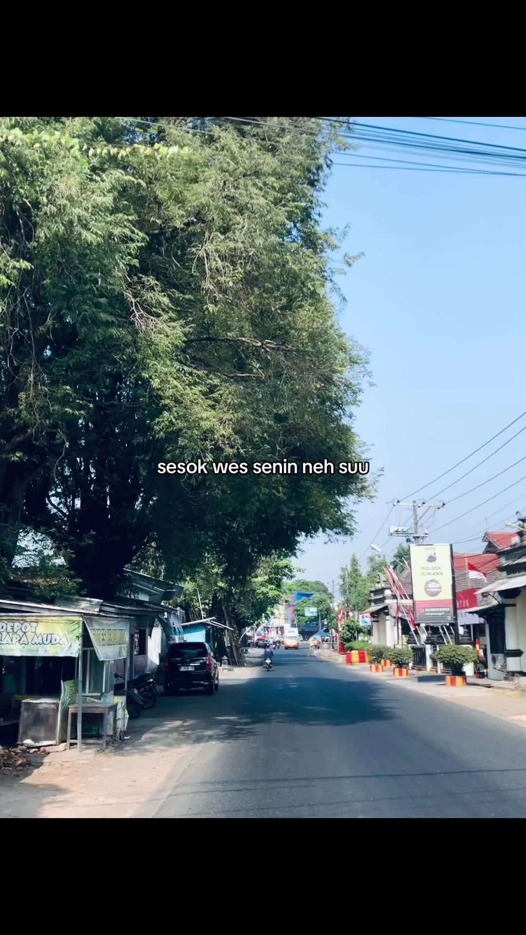 @adepono⚡️