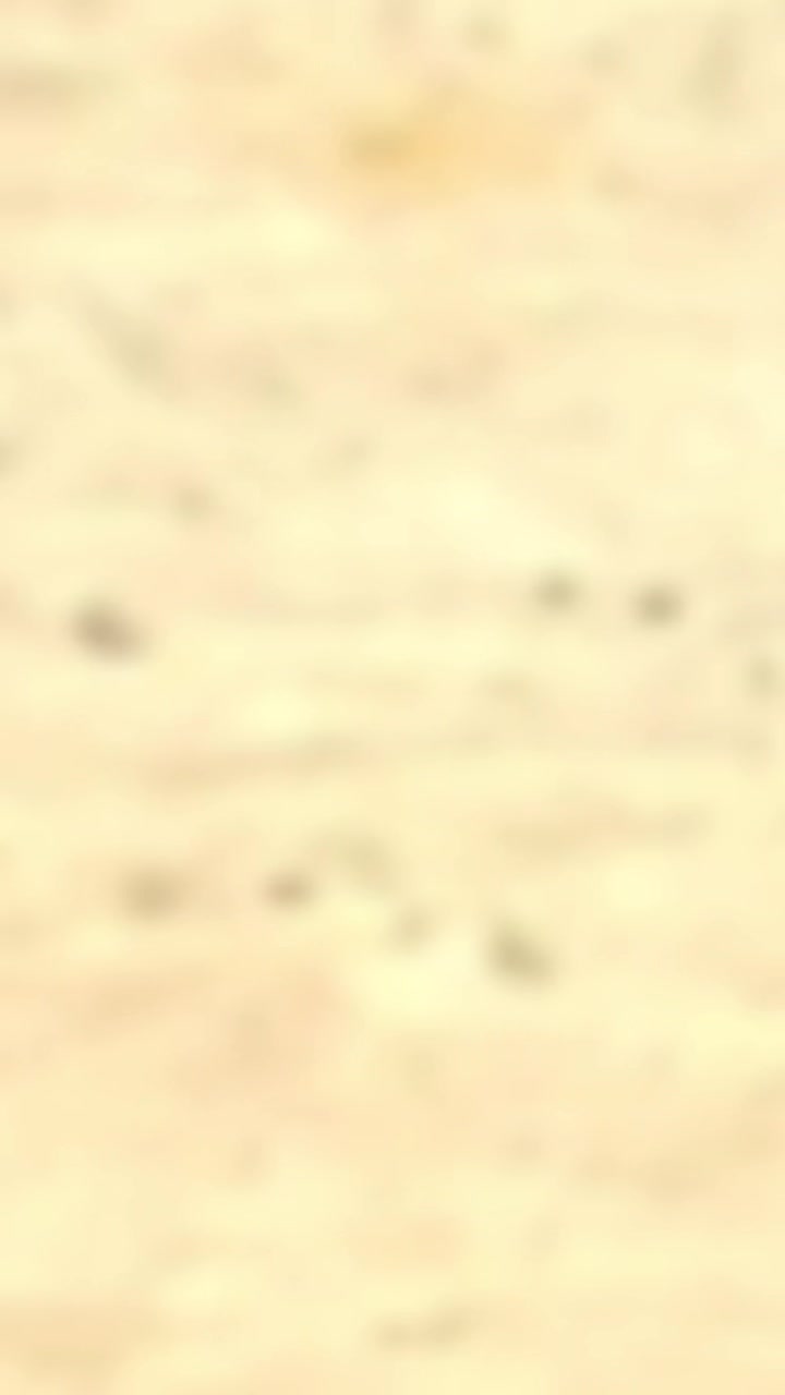 @17.60_toyya