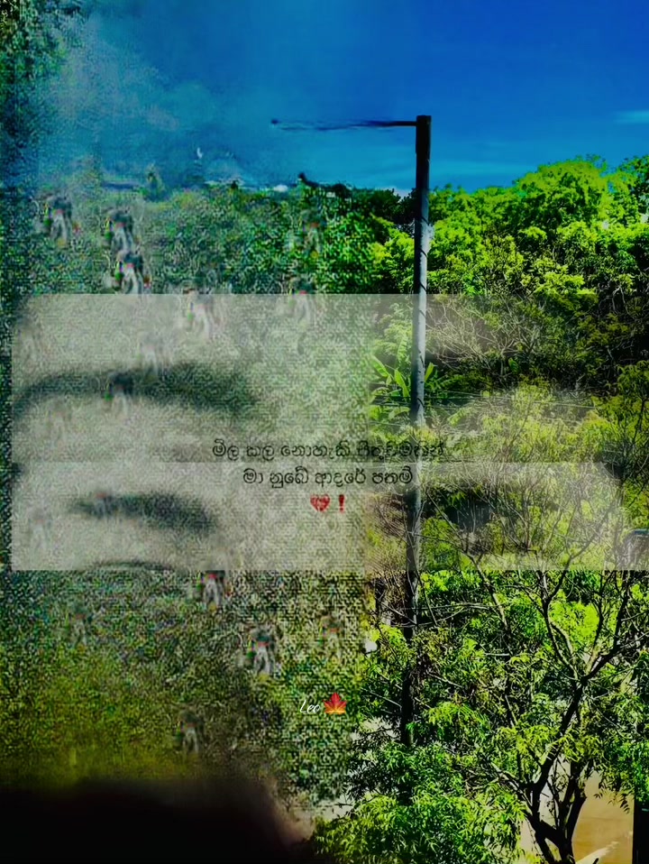 @leo.u09