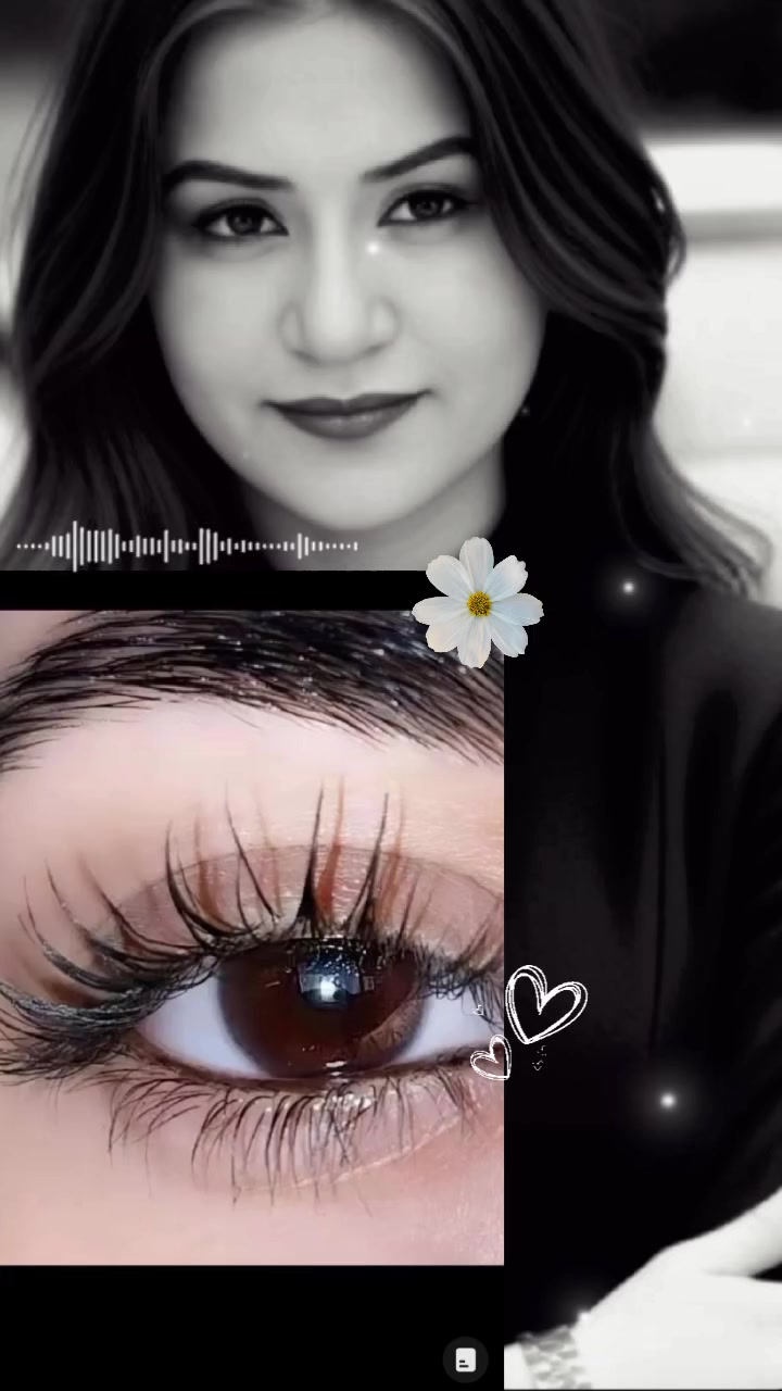 @🤍🌹 &ccedil;avreş  🤍🌹  65