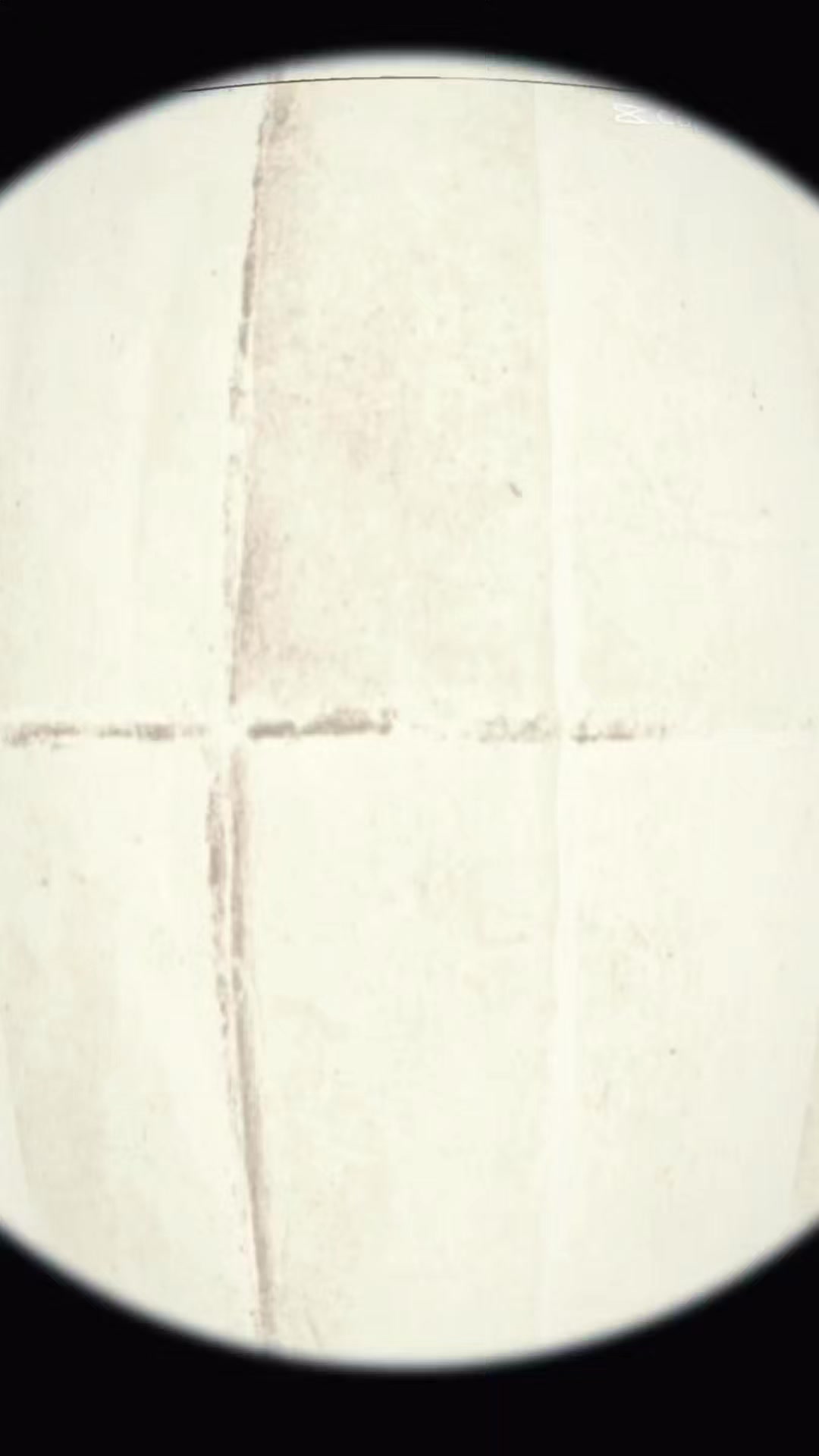 @Tau♛⋆ ˚。⋆୨୧⋆。˚
