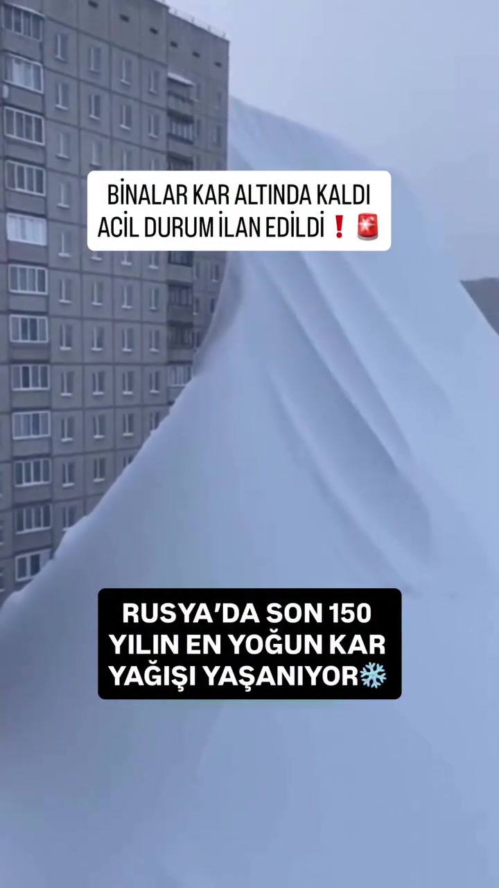 @avrupadayasamm
