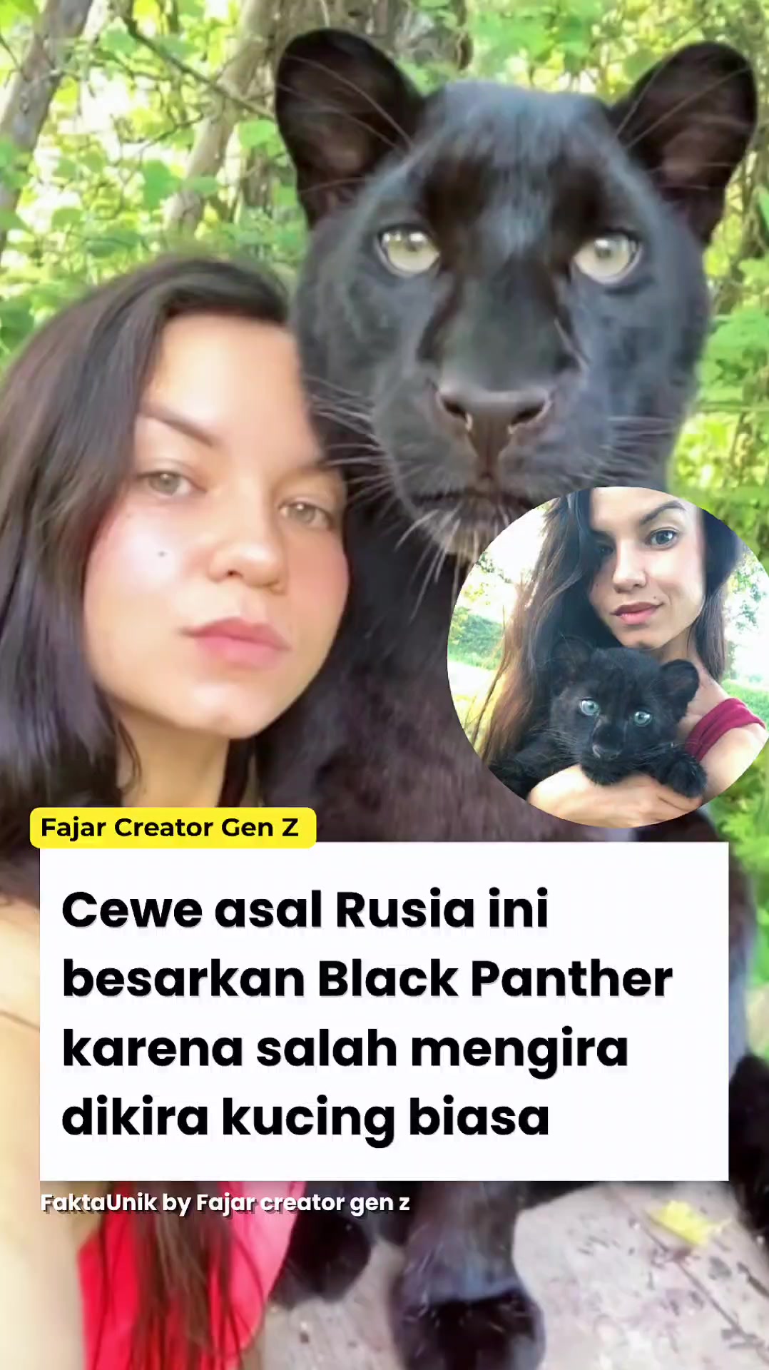 @Fajar | Creator Gen Z⚡