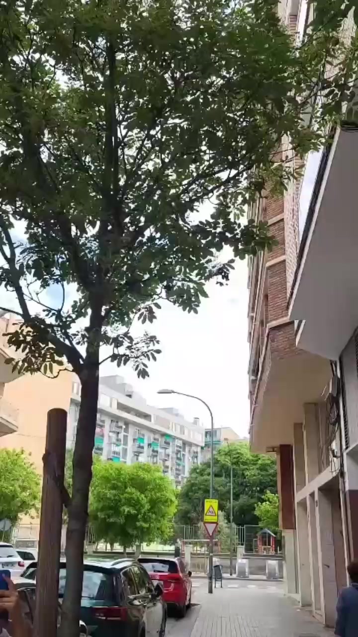 @azul.lu