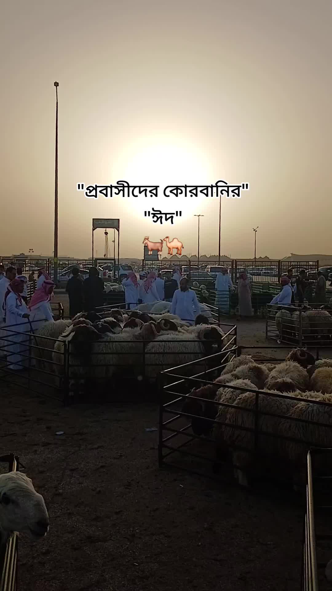@Jowel Rana Bhuiyanđ¸đĻ