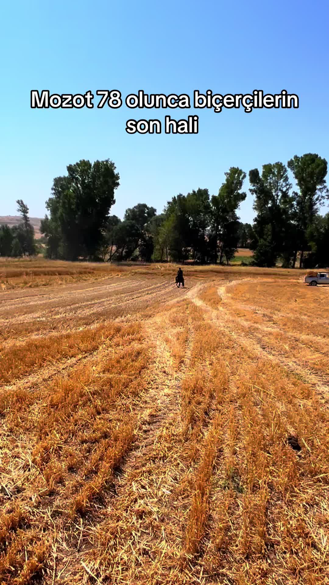 @Ş&uuml;kr&uuml; Sevindik