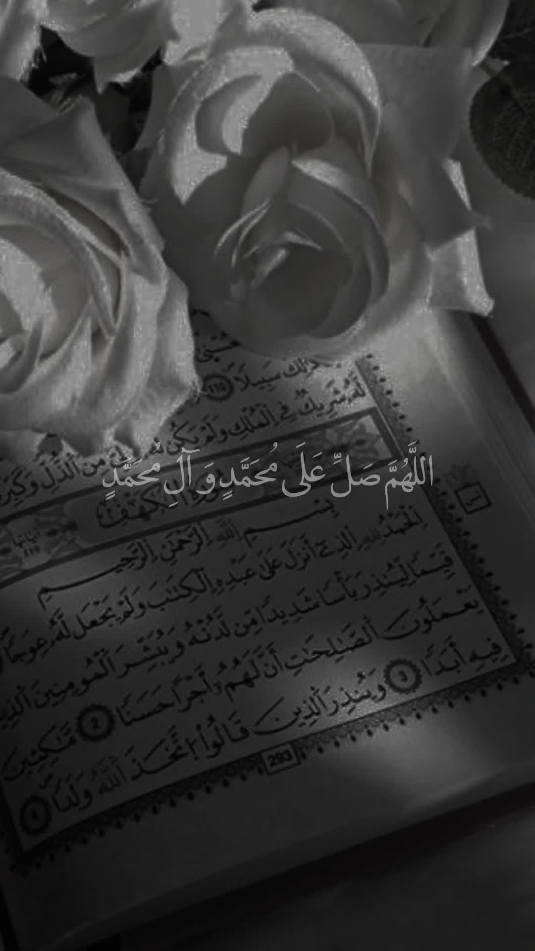 @قائد الغُرِّ المُحَجَّلين