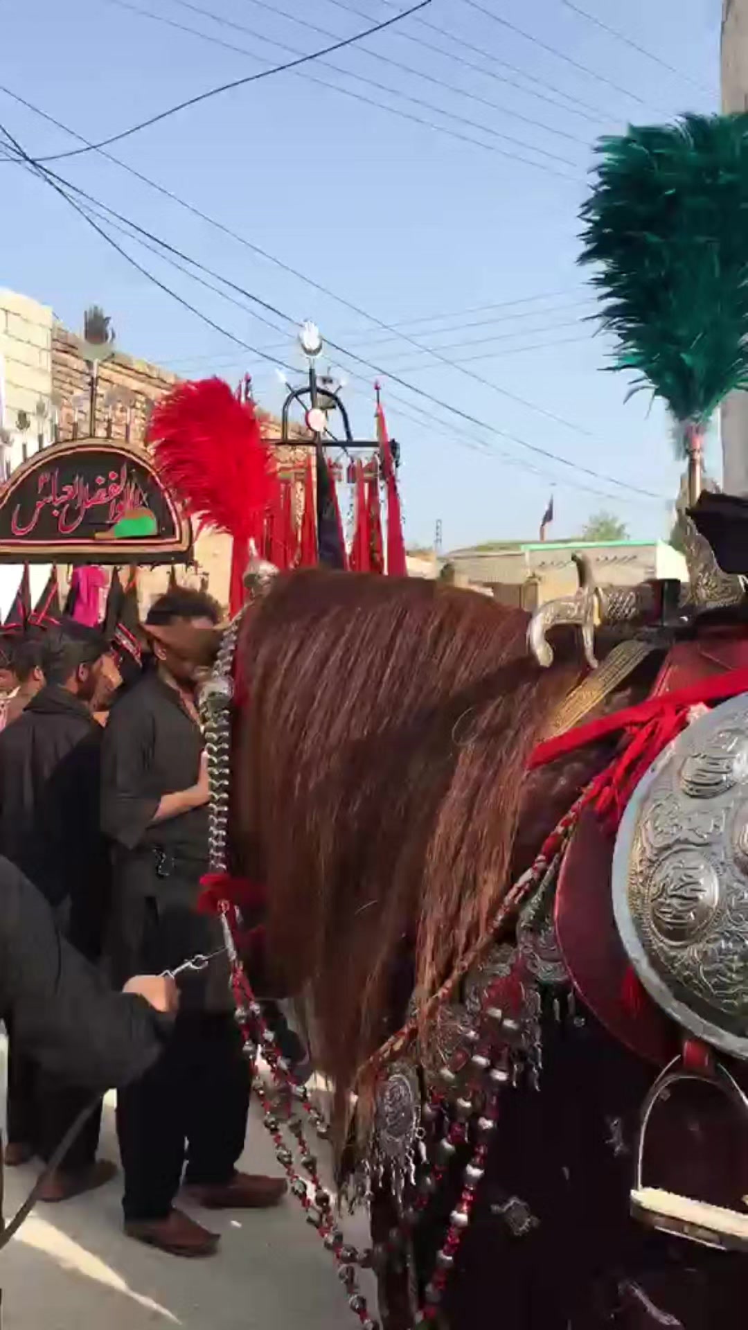 @مرکزی ذوالجناح تلہ گنگ