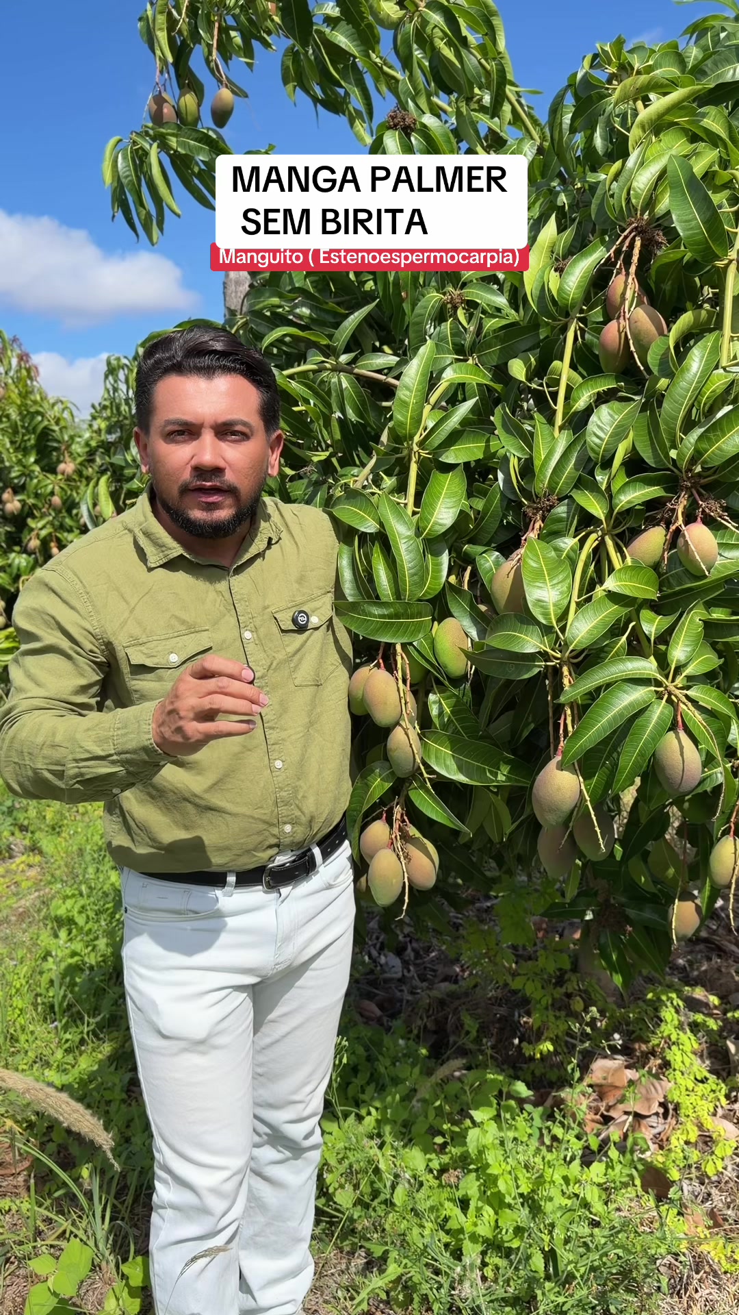 @flavio12inoveagro_oficial