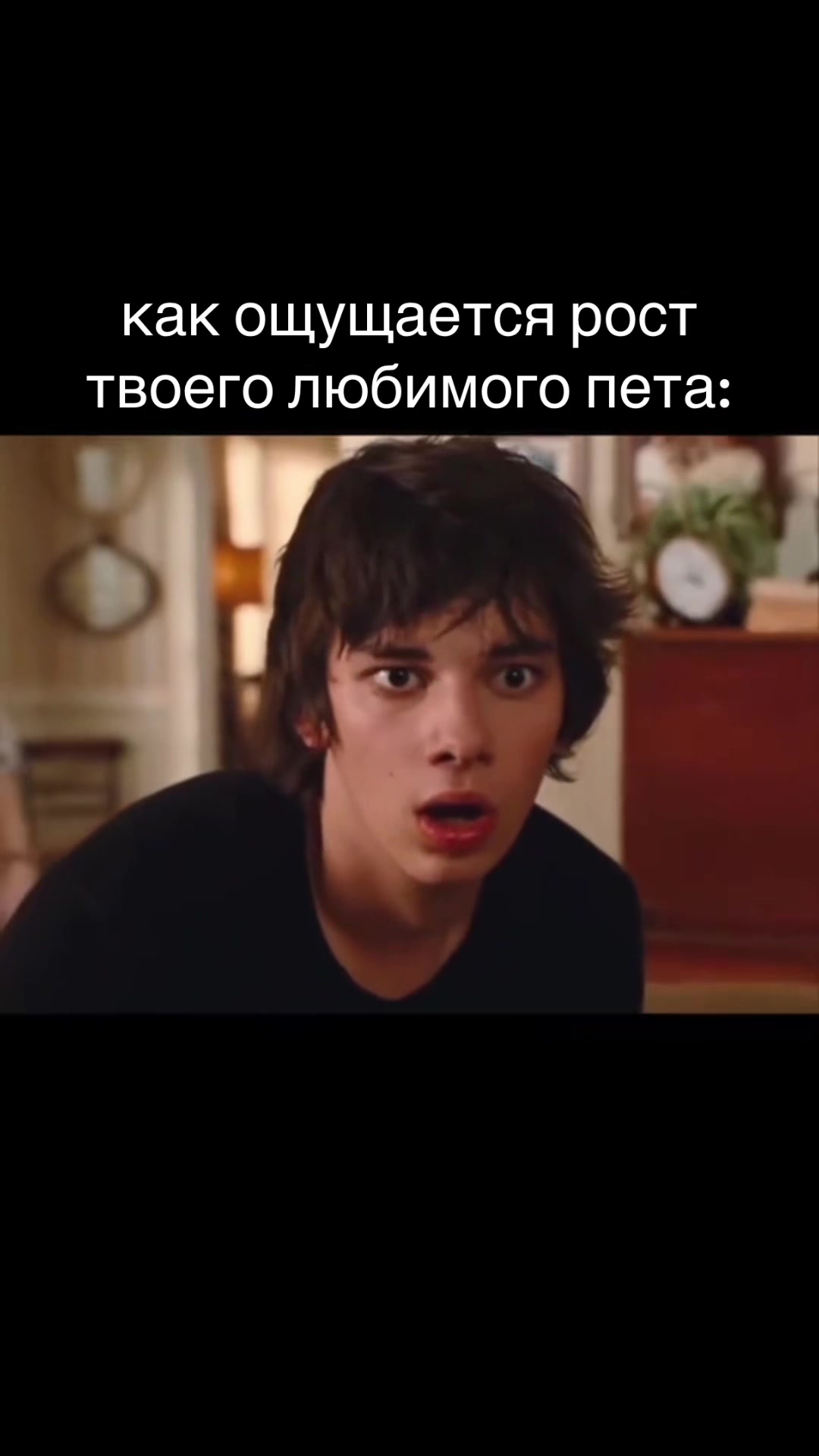 @startova