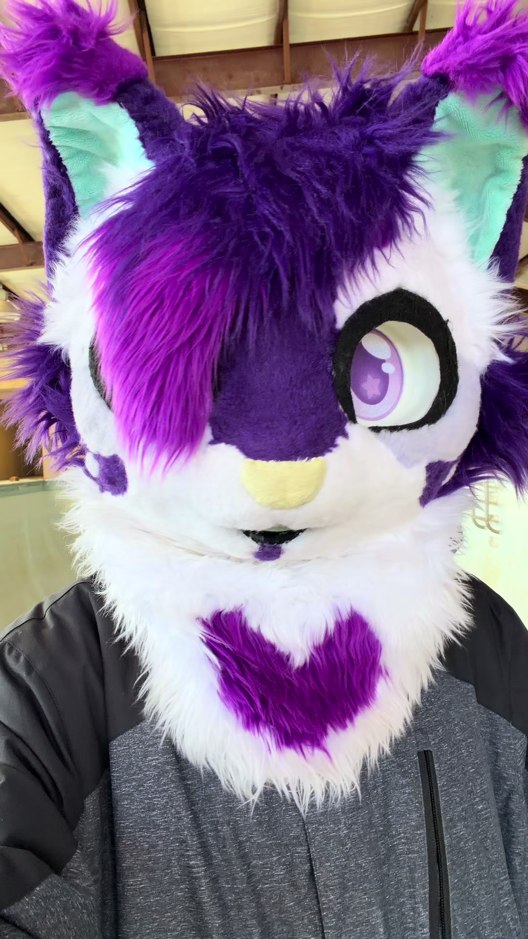 @Starlight @ FWA