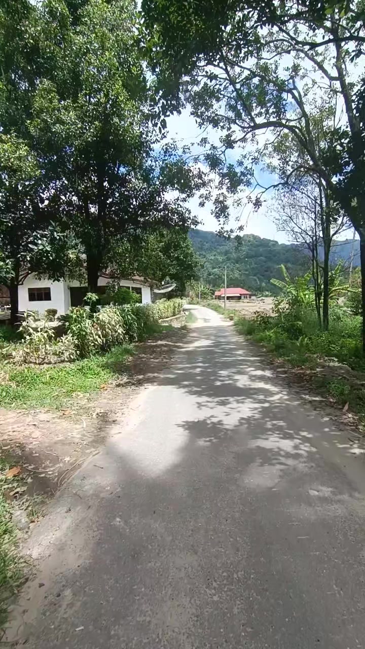 @Arif Wahyudi