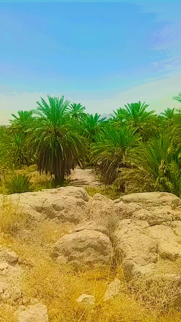 @زخمی