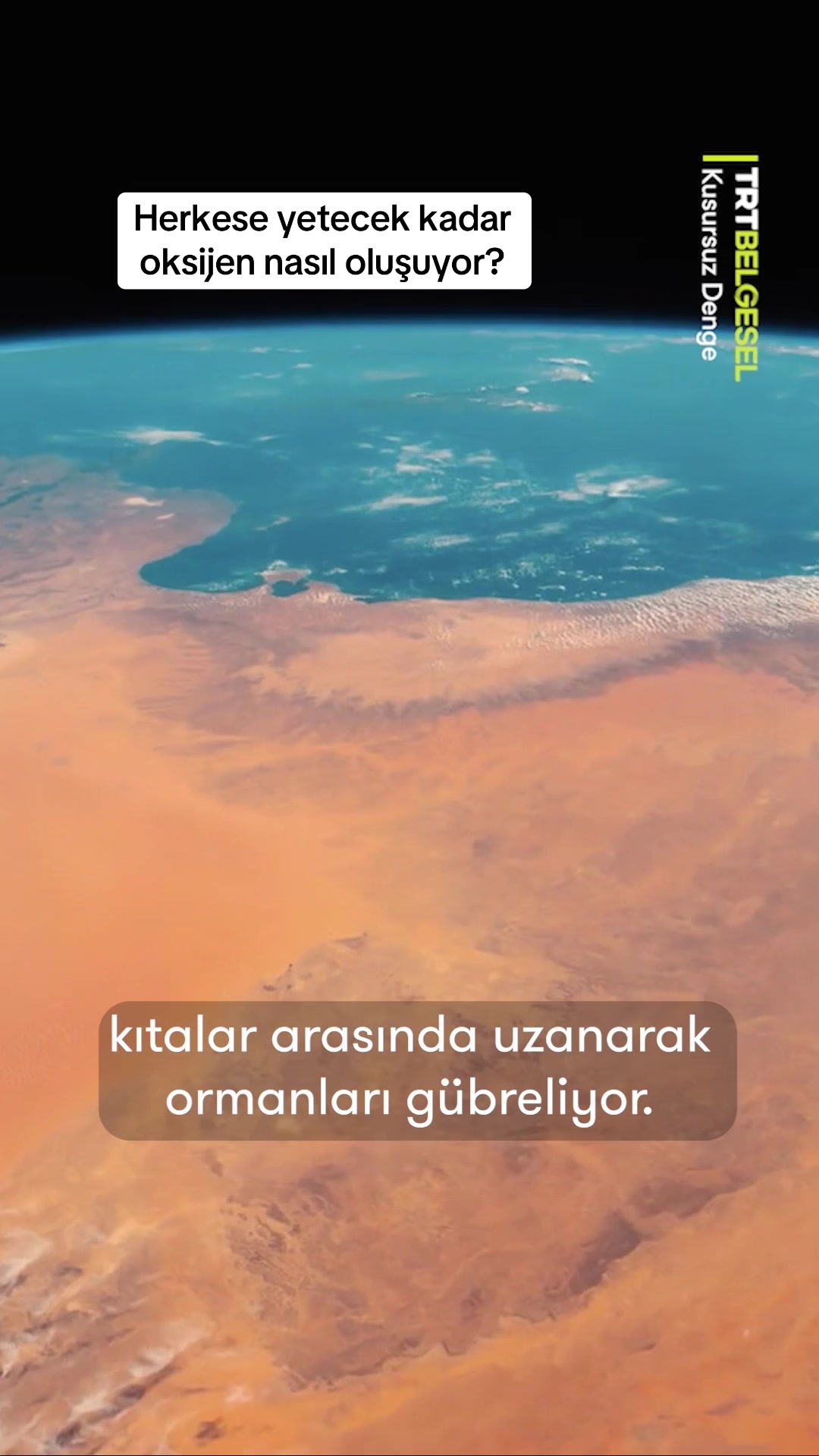 @TRT Belgesel