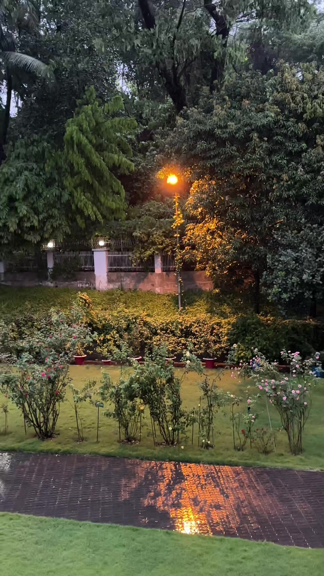 @জীবন মানেই,, টক, ঝাল, মিষ্টি