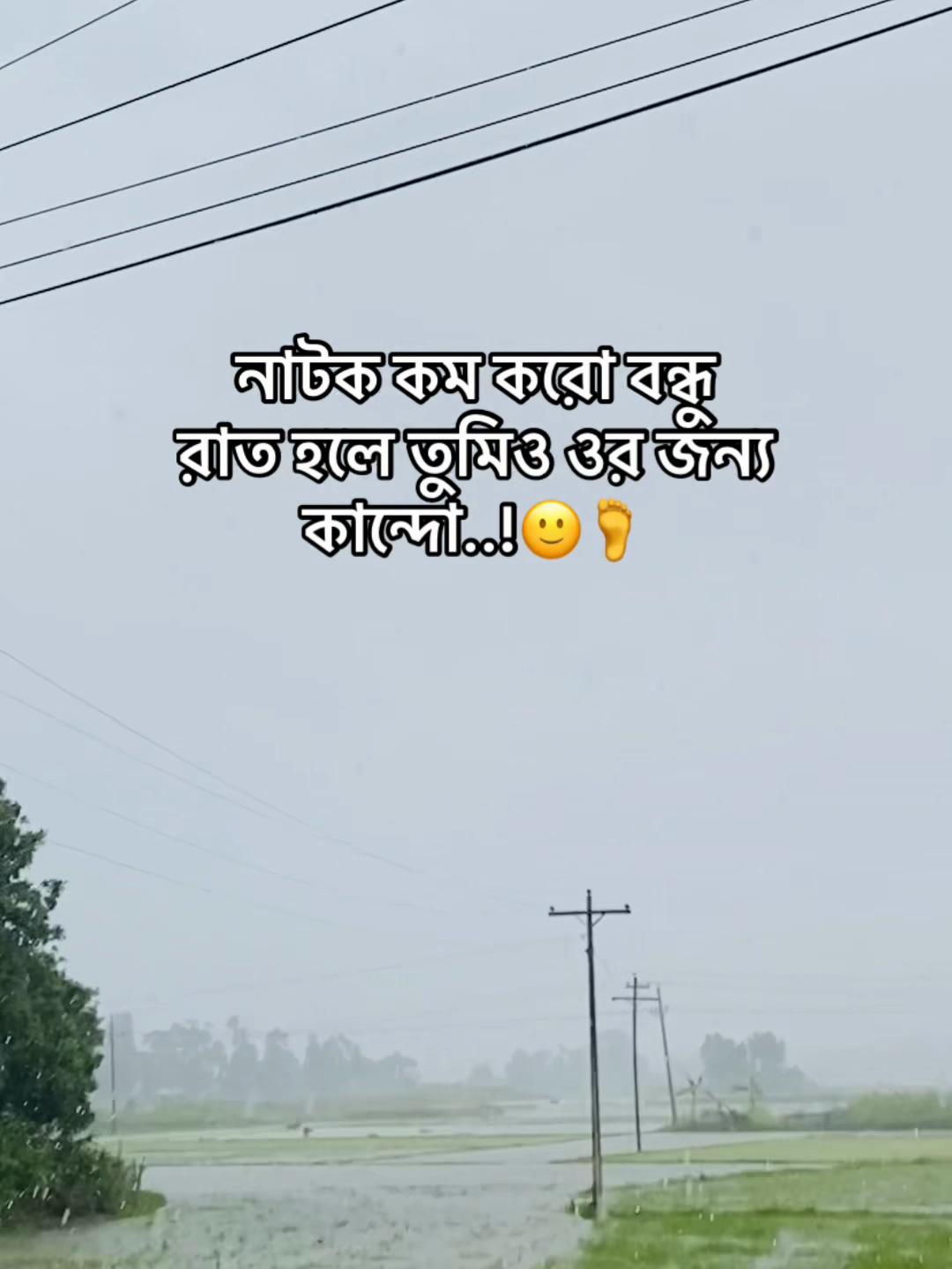 @টিক~টিকি
