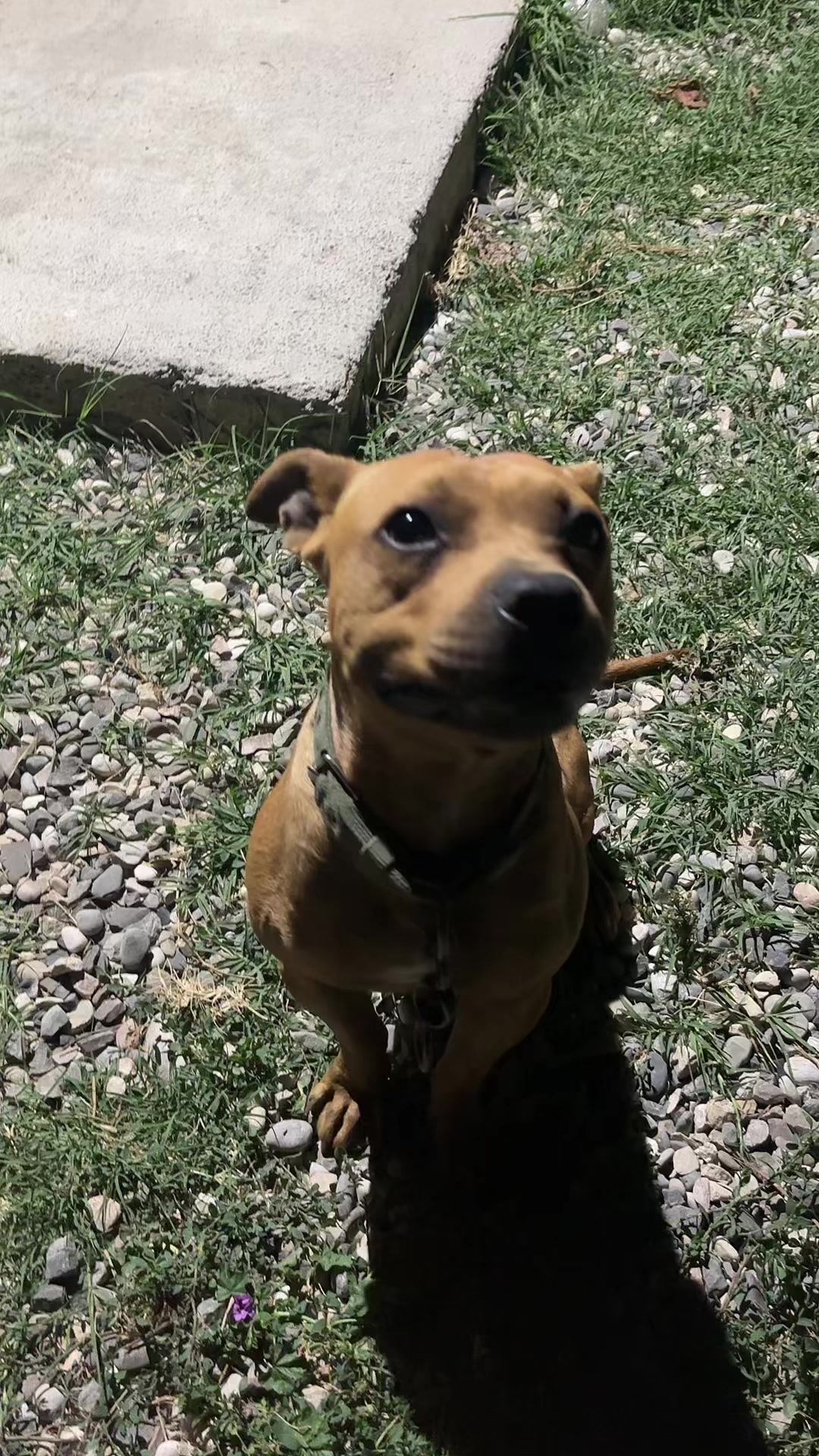 @Joker_pit8