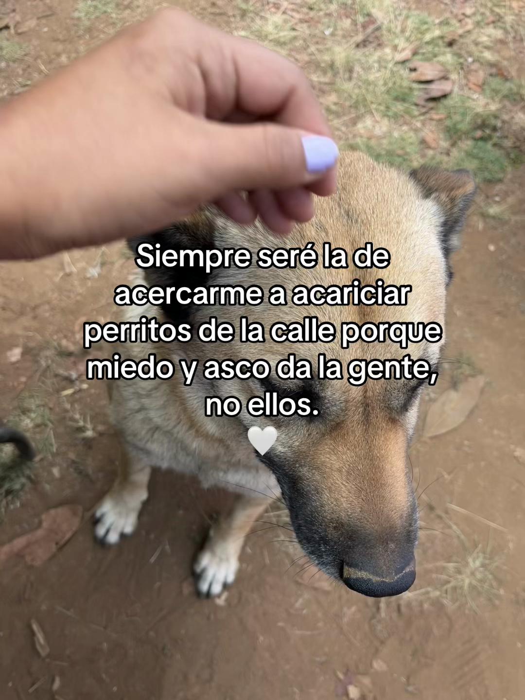 @🐼 Fernanda Rosas 🦋