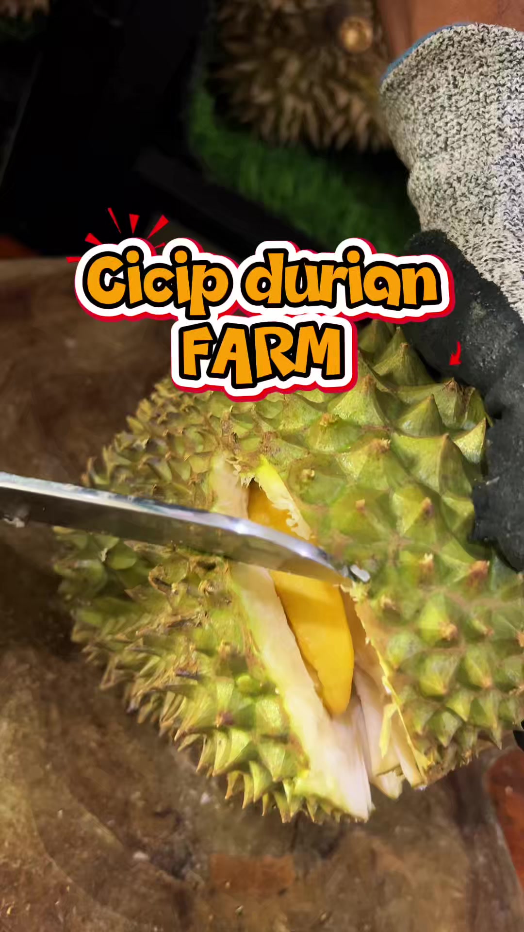 @Cicip Durian