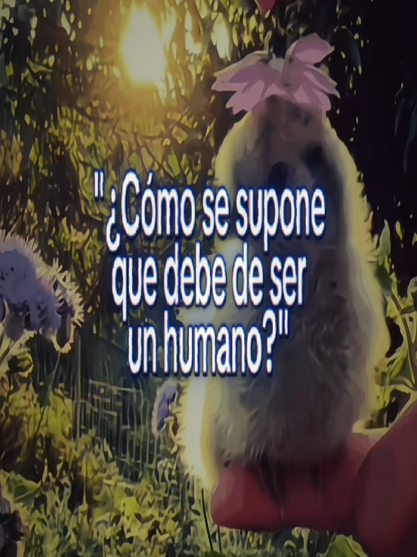 @⌗ꩇׁׅ݊คriϐׁׅ֒o̲o̲࿐ྂ