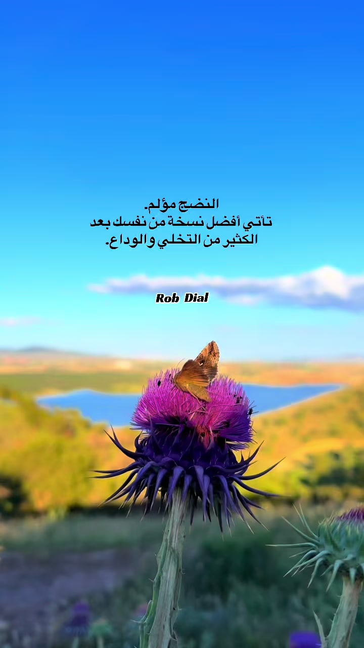 @RiadhTv