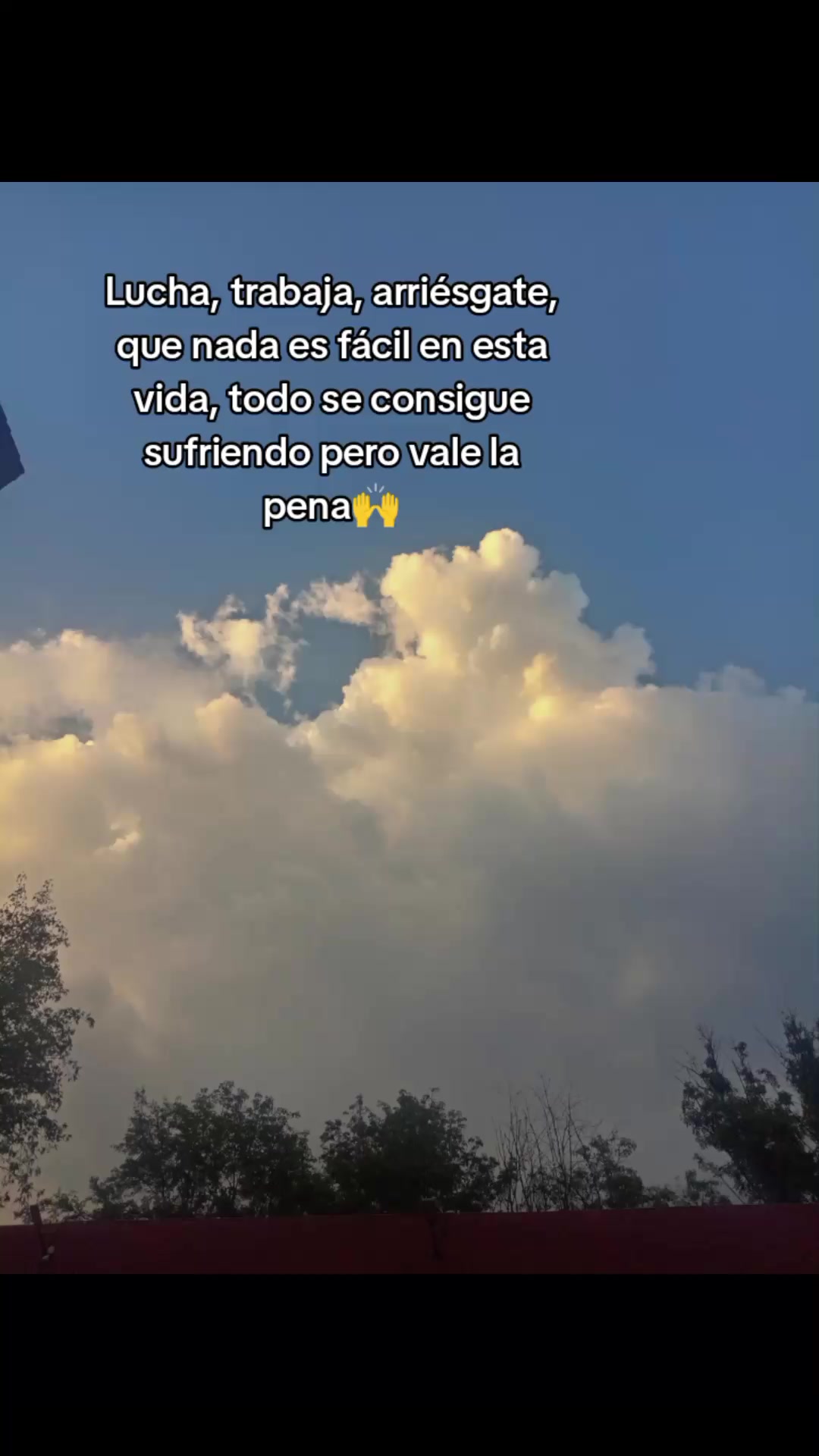 @paubonii