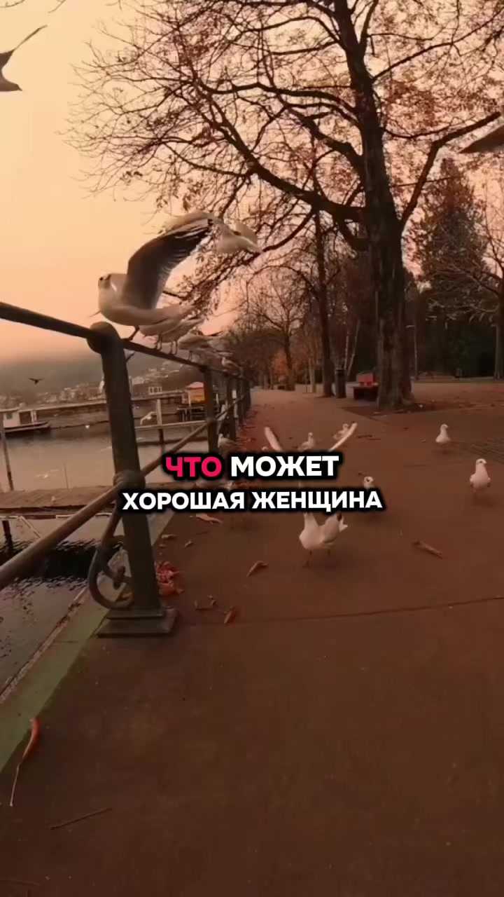 @Будь Лучшим