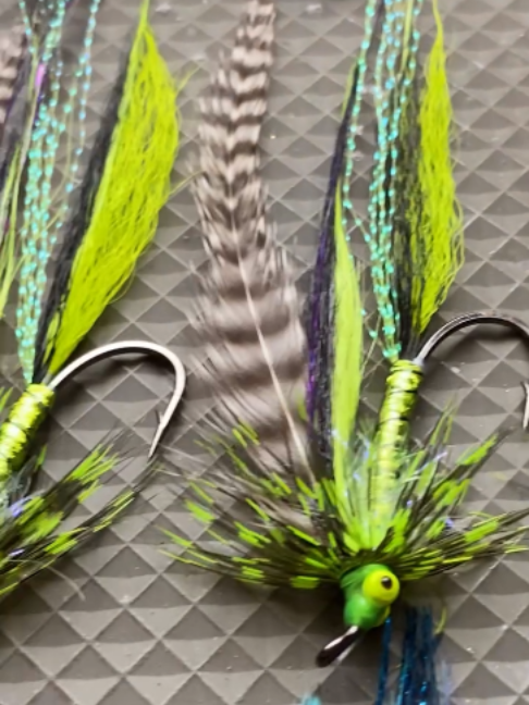 @veevusFishing