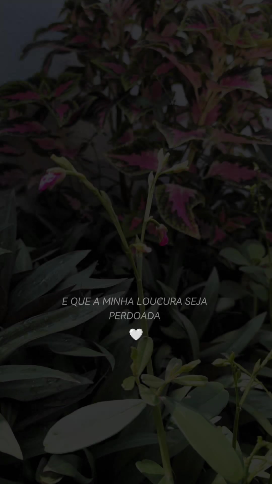 @Carlos Martins