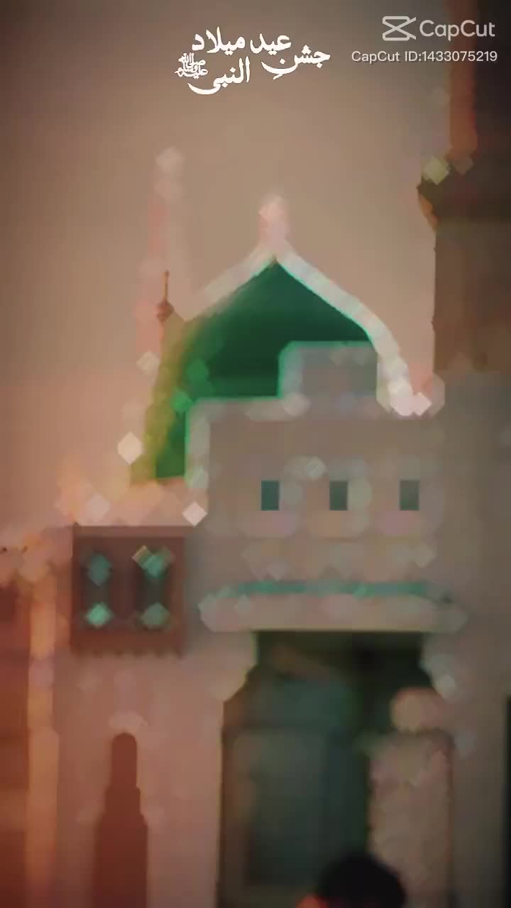 @qudsiashafique235