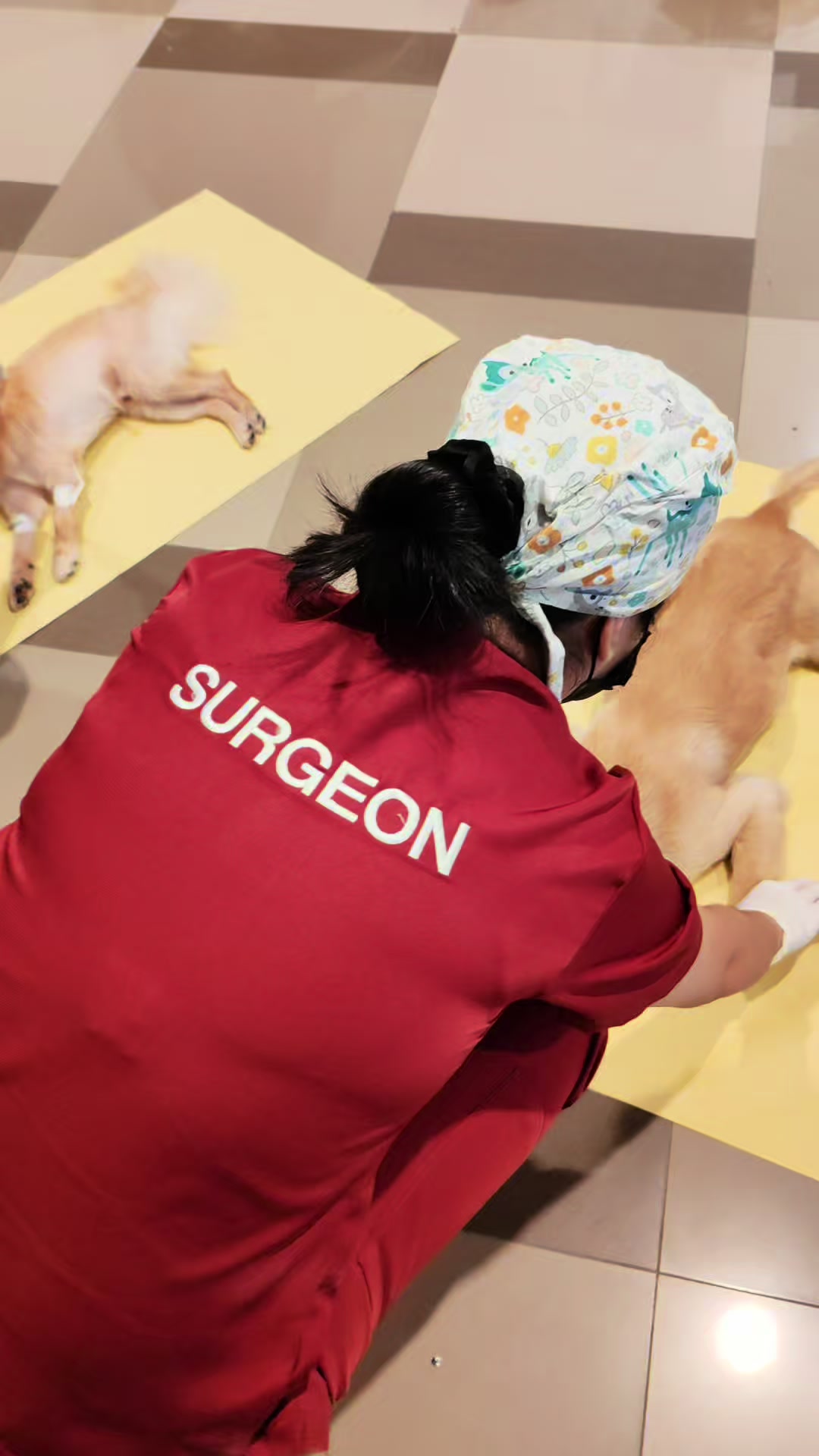 @Doc Gab | Veterinarian ๐พ๐ฉบ