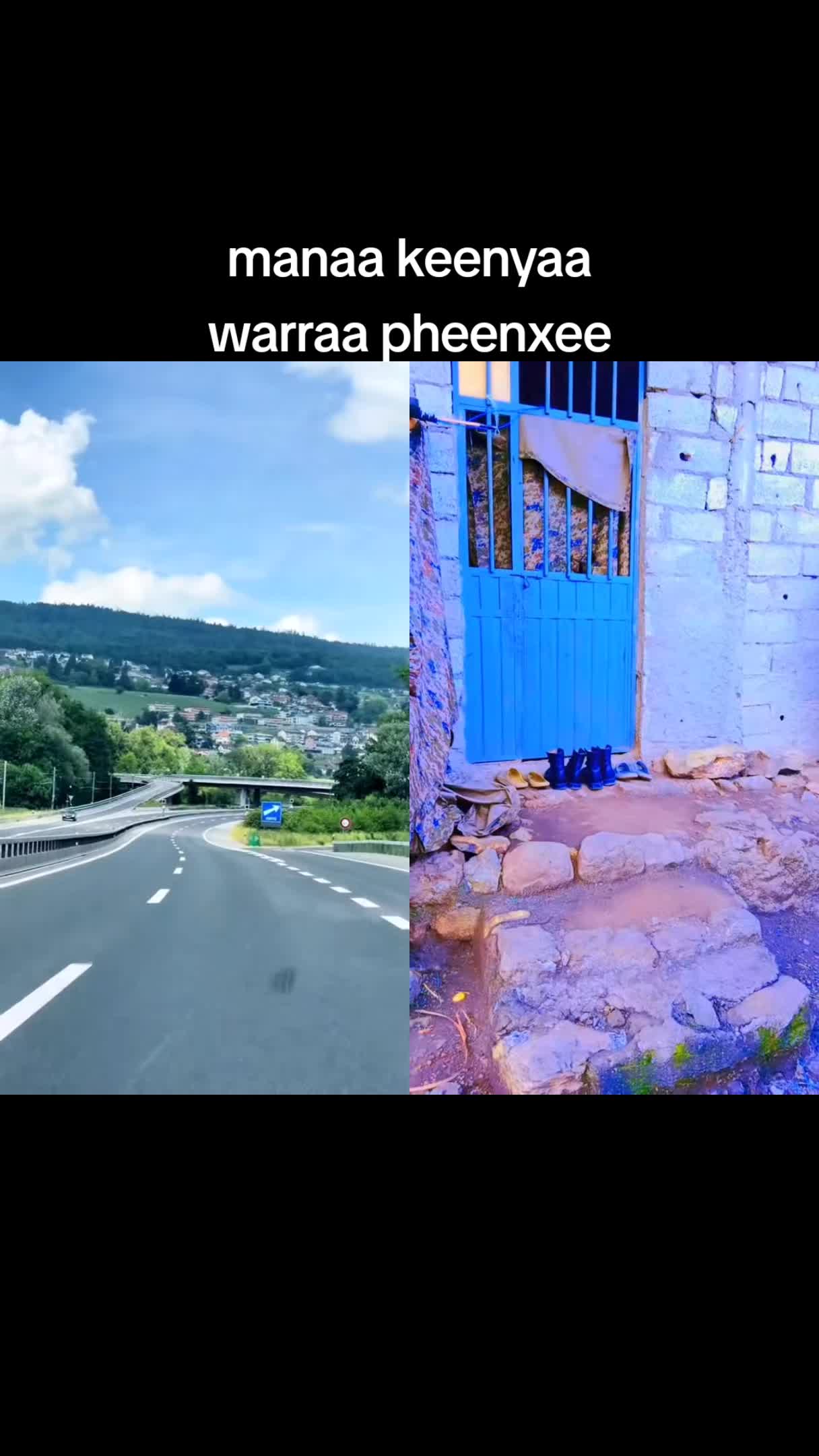 @Tariku Fekeda