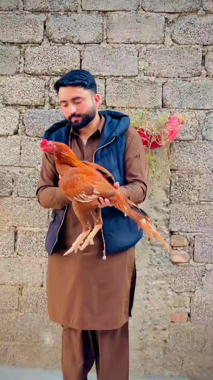 @🌿Syed IftiKHaR SHaH🌿